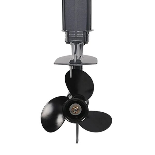 lodochnyj-motor-allfa-cg-t99-fws-max-vint